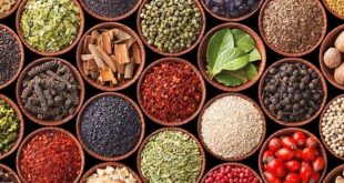 Dere otu: yaz ortasında açan sarı çiçekli bu bitki ABD'de sirke ile marine edilerek turşu olarak ya da deniz ürünleri v pastırma ile birlikte tüketilir. Rusya'nın güney bölgelerinde et ürünlerinde kullanılırken İskandinav ülkelerinde ekmeğe tat verecek çeşni olarak kullanılır.