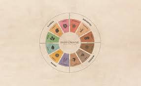 Nasıl bir kalıcılık ve nasıl bir koku dengesi istiyorsunuz, önce bunu bir netleştirin. Bunu çözmek için parfüm terminolojisini anlamanız önemli. Eau de Fraiche, esans yüzdesi en düşük formüldür. Bunu Eau De Cologne ve Eau de Toilette takip eder. En yüksek yüzdeli ve en kalıcı, yoğun kokular ise Eau de Parfume ve Eau de Perfume'dir.