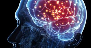 Living with an adolescent is an art that requires patience and wisdom. The brush of this art is empathy, and its canvas is communication. Painted with the colors of boundaries, freedom, responsibility, and love, this picture contributes to the maturity of both the young person and the adult. Those who master the subtleties of living together not only navigate this stage more peacefully but also lay the foundation for healthy relationships in the future.