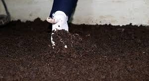 Solucan gübresi ismi verilen, dünyadaki yaygın ismi vermicompost olan bu organik gübre, bitkilere oldukça faydalıdır. Solucanların doğada ayrıştırıp sindirim sistemlerinden geçirdiği ve dışkı olarak dışarıya attığı solucan gübresi, sebze ve meyvelerin dayanıklılığını arttırır. Ayrıca bitkilerin verimliliklerinde, kalitesinde artış sağlar. Kök ve kök çevresindeki hastalıklara karşı koruma sağlar.