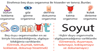 “Anlam” kelimesi, bir sözün, cümlenin, davranışın, işaretin veya olayın ifade ettiği düşünce, kavram ya da içeriği anlatır. Yani bir şeyin ne demek istediğini, neyi ifade ettiğini belirtir.
