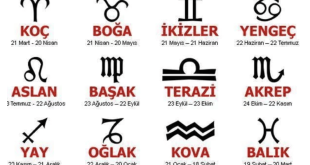 Yükselen burç, astrolojide kişinin dış dünyaya yansıyan yüzünü, sosyal karakterini ve başkaları üzerinde bıraktığı ilk izlenimi temsil eder. Doğum saati ve yeri gibi detaylı bilgilerle hesaplandığında, kişinin kendini ve çevresiyle ilişkilerini daha iyi anlamasına yardımcı olur. Güneş burcu kişisel karakteri açıklarken, yükselen burç bu karakterin dünyaya nasıl yansıdığını gösterir.