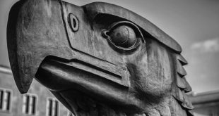 Tek adam rejimi, siyasi iktidarın tek bir liderin kontrolüne geçtiği, demokratik mekanizmaların zayıfladığı ve kurumsal yapının kişiselleştiği yönetim modelidir. Kısa vadede hızlı karar alma avantajına sahip olsa da uzun vadede toplumun siyasal katılımını, ifade özgürlüğünü ve hukukun üstünlüğünü zedeleyebilir. Bu nedenle siyaset biliminde, sürdürülebilir ve sağlıklı yönetim biçimi olarak kurumsallaşmış demokrasi tercih edilmektedir.