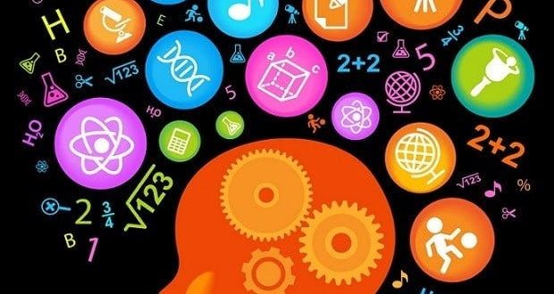 Çoklu Zeka Kuramı, insan zekasını çok boyutlu bir şekilde ele alarak eğitimde bireyselleştirilmiş yaklaşımların önemini ortaya koymuştur.