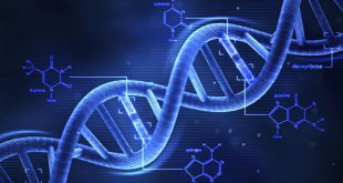 Kalıtsal bilginin taşınması, protein yapımının yönlendirilmesi ve hücresel düzenin sağlanmasında merkezi rol oynar. Modern bilim, DNA’nın yapısı ve işlevi üzerine yapılan çalışmalar sayesinde hızla gelişmekte; genetik mühendisliği, biyoteknoloji ve tıp alanında çığır açıcı uygulamalar ortaya çıkmaktadır.