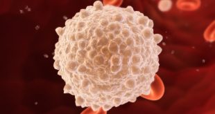 Akyuvarlar (lökositler), insan vücudunun savunma mekanizmasının merkezinde yer alır. Farklı türdeki akyuvarlar, mikroplara karşı savaşmaktan bağışıklık hafızası oluşturmaya kadar geniş bir görev yelpazesine sahiptir.