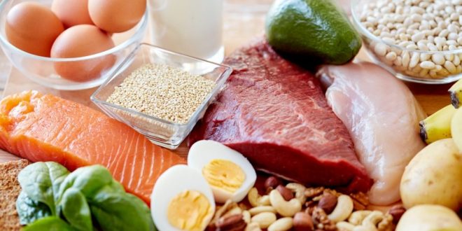 Proteinler, yaşamın temel bileşenlerindendir ve vücuttaki hemen her süreçte yer alırlar. Doğru miktarda ve dengeli bir şekilde protein almak; sağlıklı büyüme, güçlü bağışıklık, sağlıklı kas yapısı ve düzenli metabolizma için gereklidir. Hem hayvansal hem de bitkisel kaynaklardan sağlanan çeşitli bir beslenme düzeni, protein ihtiyacının karşılanması için en ideal yaklaşımdır.