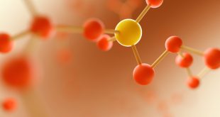 sporcular, çocuklar, yaşlılar ve ağır fiziksel çalışan kişiler protein açısından daha fazla amino asite ihtiyaç duyabilir.