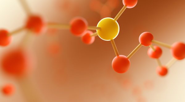 sporcular, çocuklar, yaşlılar ve ağır fiziksel çalışan kişiler protein açısından daha fazla amino asite ihtiyaç duyabilir.