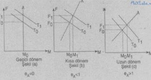 Cobweb Teoremi, piyasalardaki gecikmeli tepki mekanizmalarını ve dinamik dalgalanmaları anlamak için güçlü bir araçtır. Arz ve talebin zaman içinde nasıl etkileştiğini görselleştirerek, ekonomik kararların ve fiyat dalgalanmalarının analiz edilmesine imkan tanır.