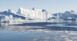 Kuzey Kutbu, sert şartlara rağmen oldukça zengin bir ekosisteme sahiptir. Deniz buzunun hareketine göre şekillenen bu ekosistem, iklim değişikliğine son derece duyarlıdır.