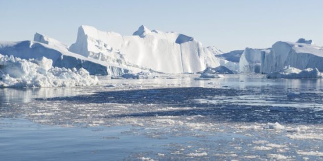 Kuzey Kutbu, sert şartlara rağmen oldukça zengin bir ekosisteme sahiptir. Deniz buzunun hareketine göre şekillenen bu ekosistem, iklim değişikliğine son derece duyarlıdır.