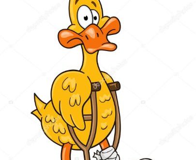 ABD’de, bir başkan yeniden seçilemeyecekse veya ikinci dönemin son dönemindeyse, bu başkan “lame duck” olarak adlandırılır.