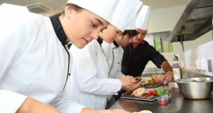 Gastronomi, yemek hazırlamanın çok ötesinde, yemeği bir kültürel, sanatsal ve bilimsel unsur olarak ele alan geniş ve etkileyici bir alandır. Hem insanların beslenme biçimlerini hem de toplumların kültürel kimliklerini şekillendirir. Her ülkede olduğu gibi Türkiye’de de gastronomi hızla gelişmekte, şefler, araştırmacılar ve eğitim kurumları bu alanda dünya çapında katkılar sunmaktadır.