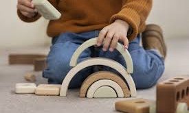 Oyuncak, çocuğun sadece eğlenme aracı değil; öğrenme, hayal kurma, kendini ifade etme ve dünyayı anlama aracıdır. Oyuncaklar çocuğun dili gibidir; o, duygularını oyuncaklarıyla konuşarak anlatır.