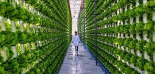 Topraksız tarım, hem ekolojik hem de ekonomik açıdan modern tarımın vazgeçilmez bir yöntemi haline gelmektedir. Su tasarrufu, hastalık kontrolü, alan esnekliği ve yıl boyu üretim gibi avantajları, onu geleceğin tarımı olarak konumlandırmaktadır.