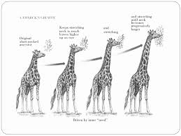 Doğal seçilim yalnızca türlerin nasıl değiştiğini anlamamıza yardımcı olmakla kalmaz, aynı zamanda biyolojik çeşitliliği ve yaşamın karmaşıklığını anlamamıza da katkı sağlar. Evrimsel süreçlerin temel işleyişi hakkında daha derinlemesine bir anlayış geliştirmek, biyolojik bilimlerdeki pek çok soruyu yanıtlamamıza olanak tanır.
