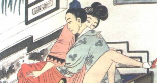 Taocu sevişme sanatı, cinselliği yalnızca haz arayışı olarak değil, enerji paylaşımı, sevgi, ruhsal uyum ve içsel denge olarak yorumlayan bir yaşam felsefesidir. Temeli, evrendeki Yin-Yang dengesinin insanlar arasındaki ilişkide de var olması gerektiği düşüncesine dayanır.