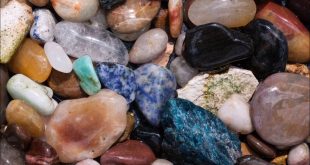 Mineraller, vücudun yapı, işlev ve düzenleme süreçlerinde vazgeçilmez inorganik maddelerdir. Kemik ve diş sağlığından sinir iletimine, enerji metabolizmasından hormon üretimine kadar birçok biyolojik sistemde aktif rol oynarlar. Dengeli ve çeşitli bir beslenme düzeni, mineral ihtiyacının karşılanması için en etkili yöntemdir.