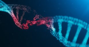 Sonuç olarak, mutasyonların evrimsel ve biyolojik önemi büyüktür. Her mutasyon, organizmaların gelecekteki evrimsel yolculuklarında bir adım daha atmalarını sağlar, bu nedenle mutasyonlar, yaşamın sürekli değişen ve çeşitlenen yapısının şekillenmesinde kritik bir mekanizma olarak kabul edilir.