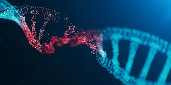 Sonuç olarak, mutasyonların evrimsel ve biyolojik önemi büyüktür. Her mutasyon, organizmaların gelecekteki evrimsel yolculuklarında bir adım daha atmalarını sağlar, bu nedenle mutasyonlar, yaşamın sürekli değişen ve çeşitlenen yapısının şekillenmesinde kritik bir mekanizma olarak kabul edilir.