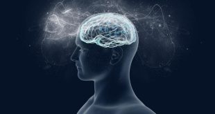 Şuur, insanın kendini ve çevresini anlamlandırmasını sağlayan temel zihinsel yetidir. Bireyin düşüncelerini, kararlarını ve davranışlarını yönlendiren bu farkındalık hâli, hem bireysel gelişim hem de toplumsal yaşam açısından büyük önem taşır. Şuur sahibi olmak, insanın bilinçli, sorumlu ve anlamlı bir yaşam sürmesinin temelidir.