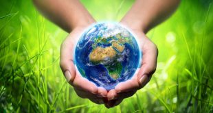 Sonuç olarak ekoloji, doğayı ve yaşamı anlamamıza yardımcı olan temel bilim dallarından biridir. Canlıların çevreyle olan hassas dengesini ortaya koyarak, insanların doğaya karşı daha bilinçli ve sorumlu davranmalarına rehberlik eder. Ekoloji bilincinin artması, sağlıklı bir çevre ve yaşanabilir bir gelecek için vazgeçilmezdir.