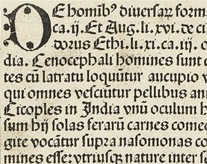 Latin alfabesinin tarihsel gelişimi, farklı uygarlıkların katkılarıyla şekillenen uzun bir süreçtir. Fenike ve Yunan kökenlerinden Roma medeniyetine, Orta Çağ kilise geleneğinden modern küresel dünyaya uzanan bu gelişim, Latin alfabesini yalnızca bir yazı sistemi değil, insanlık tarihinin ortak miraslarından biri hâline getirmiştir.