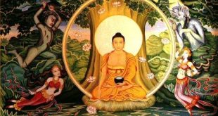 Siddhartha Gautama, insanın acıdan kurtuluşunu dışsal güçlerde değil, kendi zihnini ve davranışlarını dönüştürmesinde arayan bir düşünce sistemi sunmuştur. Bu yönüyle Budizm, yalnızca bir din değil; aynı zamanda derin bir felsefe ve yaşam yoludur. Buda’nın öğretileri, yüzyıllar sonra bile insanlığa iç huzur ve bilgelik arayışında rehberlik etmeye devam etmektedir.