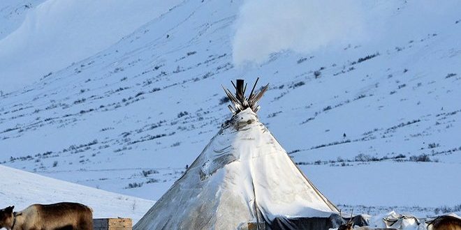 Nenets göçebeleri, insanlığın doğayla uyum içinde yaşayabileceğinin canlı örneklerinden biridir. Binlerce yıllık bilgi birikimleri, sert iklim koşullarında sürdürülebilir yaşamın mümkün olduğunu göstermektedir.