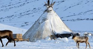 Nenets göçebeleri, insanlığın doğayla uyum içinde yaşayabileceğinin canlı örneklerinden biridir. Binlerce yıllık bilgi birikimleri, sert iklim koşullarında sürdürülebilir yaşamın mümkün olduğunu göstermektedir.