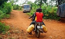 Uganda ekonomisi büyük ölçüde tarıma dayalıdır. Kahve, çay, muz ve mısır ülkenin başlıca tarım ürünleri arasındadır. Son yıllarda turizm, enerji ve hizmet sektörleri de gelişme göstermektedir.