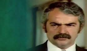 Sinemanın yanı sıra tiyatro sahnesinde de yer alan Hamzaoğlu, oyunculuğunu yalnızca popüler sinemayla sınırlamamış; sahne disiplinini kamera önüne taşımıştır. Ayrıca televizyon dizilerinde de dönem dönem rol almıştır.