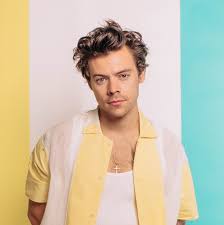 Harry Styles, solo kariyerinde müziğiyle olduğu kadar sahne performansları ve tarzıyla da dikkat çekti. 2019’da yayımlanan ikinci albümü “Fine Line” ile büyük bir başarıya imza atarak, dünya çapında müzik listelerinde zirveye yerleşti. Albümdeki şarkılar, hem duygusal hem de enerjik bir tavırla dinleyicilerine hitap etti.