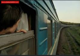 Hayat Treni, hem dramatik hem de komik unsurları bir araya getiren, son derece özgün bir sinema eseridir. Radu Mihăileanu, filmde güçlü bir anlatım dili kullanarak, insanlık tarihindeki büyük felaketlerin nasıl bir toplumsal dayanışma ve insanlık hikâyesine dönüştüğünü keşfeder.