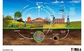 Biyolojik açıdan hayat, canlı organizmaların bir arada var olma sürecidir. Bu süreç, metabolizma, büyüme, üreme, evrim ve çevresel faktörlerle etkileşim gibi temel unsurları içerir. Canlılar, çevrelerinden aldıkları enerjiyi kullanarak hayatta kalırlar.