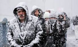 Snowfall, sadece bireysel hikayeleri değil, dönemin toplumsal yapısını da inceler. 1980'ler Amerika’sının ırkçılık, sınıf farkları ve sosyal eşitsizlik gibi problemlerine de dikkat çeker. Uyuşturucu ticaretinin yayılmasının, özellikle siyah mahallelerde nasıl felaketlere yol açtığı ve hükümetin bu durumu nasıl kullandığı dizinin ana temalarından biridir.