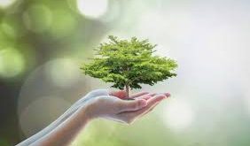 Bireysel uyanış; bireyin kendisine dayatılan değerleri, kalıpları ve kabulleri sorgulaması, yaşamı otomatik reflekslerle değil bilinçli tercihlerle sürdürmeye başlamasıdır. Bu süreç genellikle bir kırılma anıyla başlar ve zamanla derinleşir.