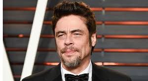 Benicio del Toro, genellikle karmaşık ve derin karakterleri canlandırmasıyla bilinir. Minimalist mimikleri, doğal oyunculuğu ve yoğun ekran varlığı onu farklı kılan unsurlardır. Özellikle suç, dram ve politik gerilim türlerinde gösterdiği performanslar eleştirmenler tarafından sıkça övülmektedir.