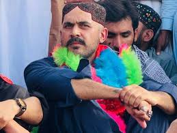 Destekçileri onu Bhutto mirasının yenilikçi ve çağdaş yüzü olarak görürken, eleştirmenler siyasi tecrübesinin sınırlı olduğunu savunmaktadır.