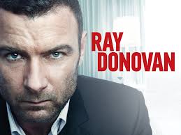Ray Donovan, hayatını başkalarının gizli işlerini temizlemeye adamış bir adamın hikayesini anlatırken, aynı zamanda bir ailenin karmaşık yapısını da keşfeder. Ray Donovan, Los Angeles’ta başarılı bir "problem çözücü" olarak, zengin ve ünlülerin suçlarını örtbas ederken, kendi ailesinin karanlık geçmişiyle de yüzleşmek zorunda kalır.