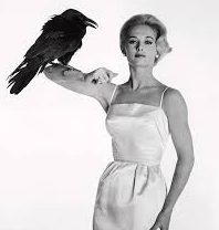 Tippi Hedren, sinema dünyasında hem bir oyuncu hem de aktivist olarak özel bir yere sahiptir. “The Birds” ve “Marnie” gibi filmleri, onun oyunculuk yeteneğini kanıtlamış; hayvan hakları çalışmalarındaki öncülüğü ise sosyal sorumluluk bilincini göstermiştir. Hedren, modern sinema tarihinin unutulmaz ikonlarından biri olarak hatırlanmaktadır.