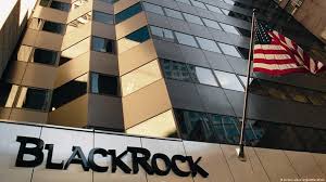 BlackRock, geleneksel varlık yönetiminin ötesine geçerek, finansal teknoloji ve veri analitiği alanında öncü olmuştur. Şirketin Aladdin platformu, risk yönetimi ve portföy analizinde dünya genelinde milyonlarca kullanıcıya hizmet sunmaktadır.