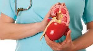 Protein kaçağı çoğu zaman erken evrelerde belirgin bir belirti vermeyebilir. Bu nedenle genellikle rutin idrar testleri sırasında fark edilir. Ancak uzun süre tedavi edilmediğinde böbrek fonksiyonlarının bozulmasına ve ciddi sağlık sorunlarına yol açabilir.