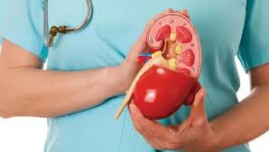 Protein kaçağı çoğu zaman erken evrelerde belirgin bir belirti vermeyebilir. Bu nedenle genellikle rutin idrar testleri sırasında fark edilir. Ancak uzun süre tedavi edilmediğinde böbrek fonksiyonlarının bozulmasına ve ciddi sağlık sorunlarına yol açabilir.