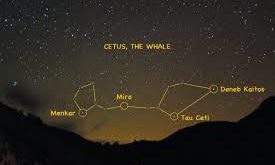 Cetus, gökyüzündeki en büyük takımyıldızlardan biridir ve özellikle devasa boyutu ile astronomlar için gözlem açısından dikkat çeker. 88 modern takımyıldız arasında yer alır ve deniz canavarı figürü ile tasvir edilir.