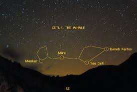 Cetus, gökyüzündeki en büyük takımyıldızlardan biridir ve özellikle devasa boyutu ile astronomlar için gözlem açısından dikkat çeker. 88 modern takımyıldız arasında yer alır ve deniz canavarı figürü ile tasvir edilir.