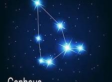 Kuzey gökyüzünün derinliklerinde yer alan Cepheus, hem astronomi hem de mitoloji açısından büyük bir öneme sahiptir. Latince adıyla Cepheus, Eski Yunanca Κηφεύς (Kēfeus) kelimesinden gelir ve Yunan mitolojisinde Etiyopya Kralı Kefeos’un adını taşır.