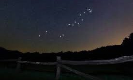 Hydra, güney gökyüzüne yakın bir bölgede yer almasına rağmen kuzey yarımküreden de büyük ölçüde gözlemlenebilir. Çok geniş bir alan kaplamasına rağmen parlak yıldızlarının az olması nedeniyle tamamını görmek bazen zor olabilir.