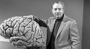 Hoimar von Ditfurth, tıp eğitiminin ardından psikiyatri ve nöroloji alanlarında uzmanlaştı. Bilimsel çalışmalarının merkezinde insan zihni, bilinç ve evrimsel süreçler yer aldı. Özellikle biyoloji ve evrim konularına duyduğu ilgi, onu klasik tıp kariyerinin ötesine taşıdı.